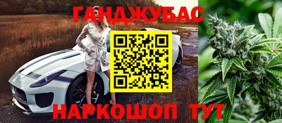 прущие грибы Лесосибирск