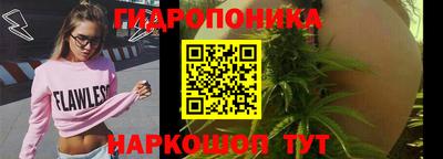 прущие грибы Лесосибирск