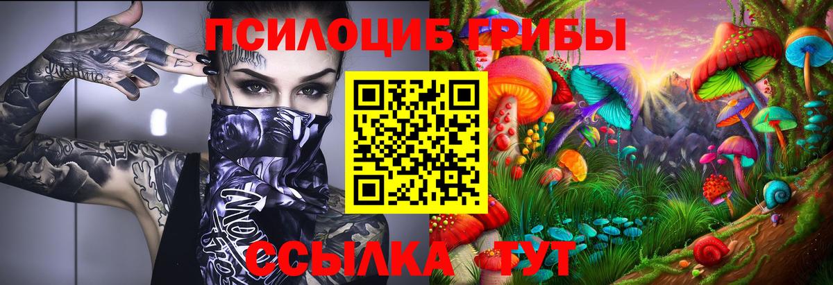 Галлюциногенные грибы прущие грибы Знаменск
